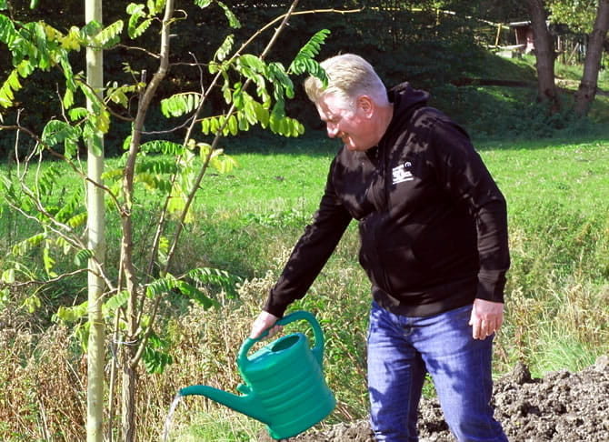 Bomen planten